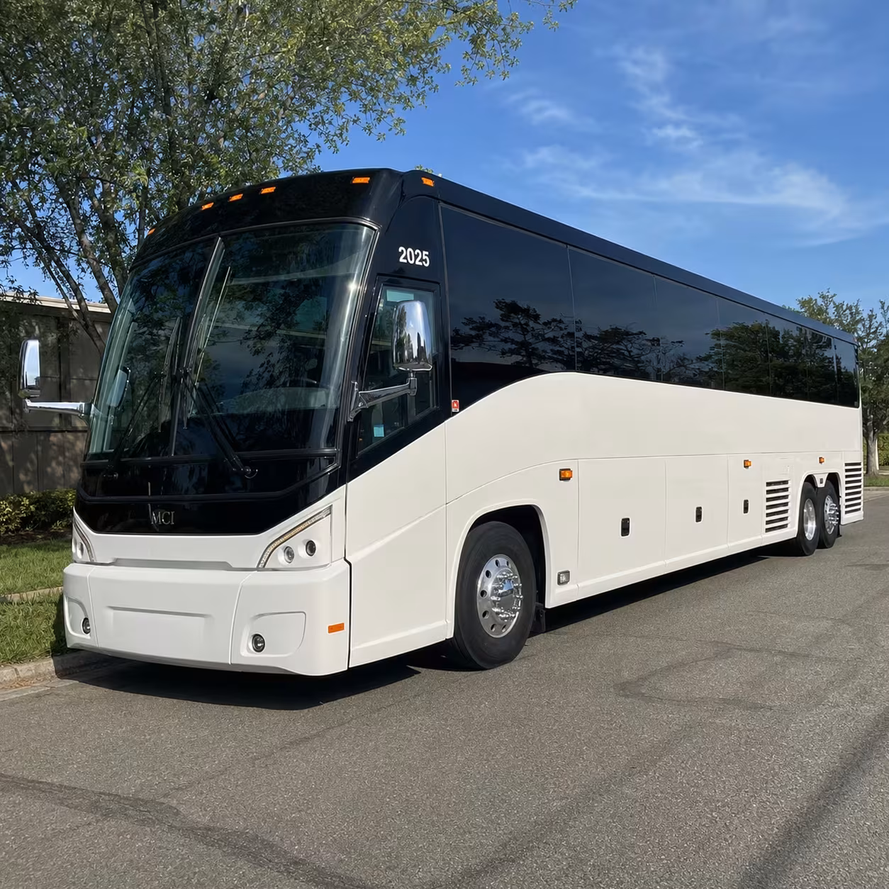 sports team travel and fan bus rentals from irvine